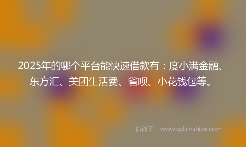 2025年的哪个平台能快速借款有：度小满金融、东方汇、美团生活费、省呗、小花钱包等。