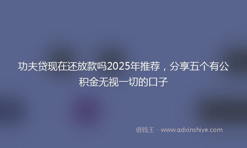 功夫贷现在还放款吗2025年推荐，分享五个有公积金无视一切的口子