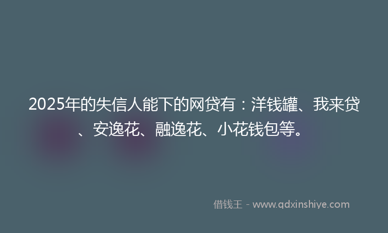2025年的失信人能下的网贷有：洋钱罐、我来贷、安逸花、融逸花、小花钱包等。