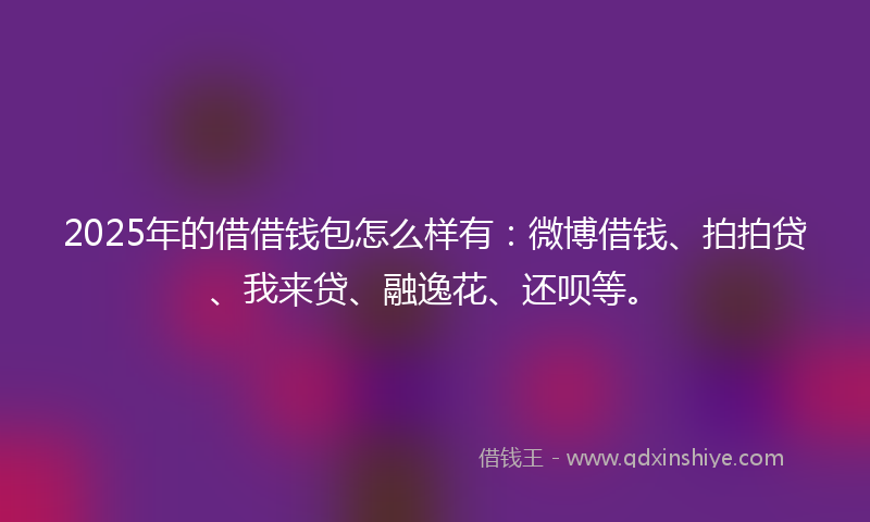 2025年的借借钱包怎么样有：微博借钱、拍拍贷、我来贷、融逸花、还呗等。