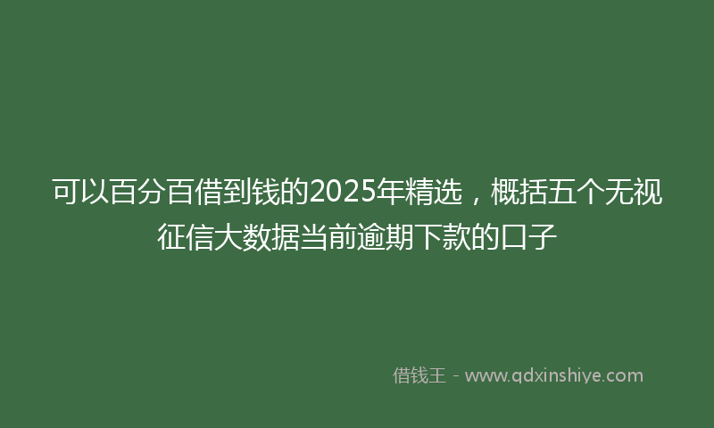 可以百分百借到钱的2025年精选，概括五个无视征信大数据当前逾期下款的口子