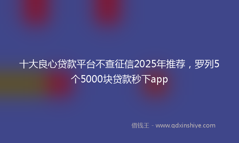 十大良心贷款平台不查征信2025年推荐，罗列5个5000块贷款秒下app