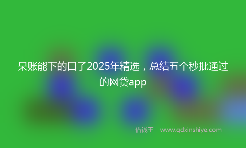 呆账能下的口子2025年精选，总结五个秒批通过的网贷app