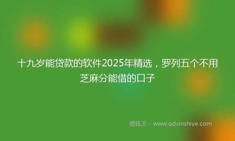 十九岁能贷款的软件2025年精选，罗列五个不用芝麻分能借的口子