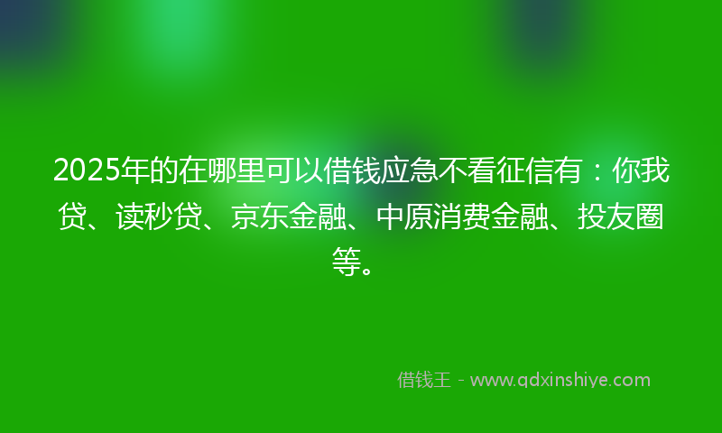 2025年的在哪里可以借钱应急不看征信有：你我贷、读秒贷、京东金融、中原消费金融、投友圈等。