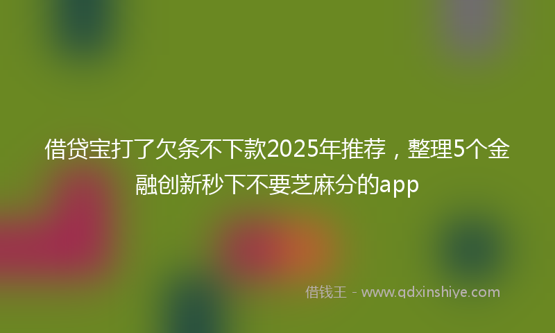 借贷宝打了欠条不下款2025年推荐，整理5个金融创新秒下不要芝麻分的app