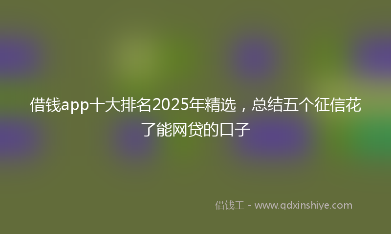 借钱app十大排名2025年精选，总结五个征信花了能网贷的口子