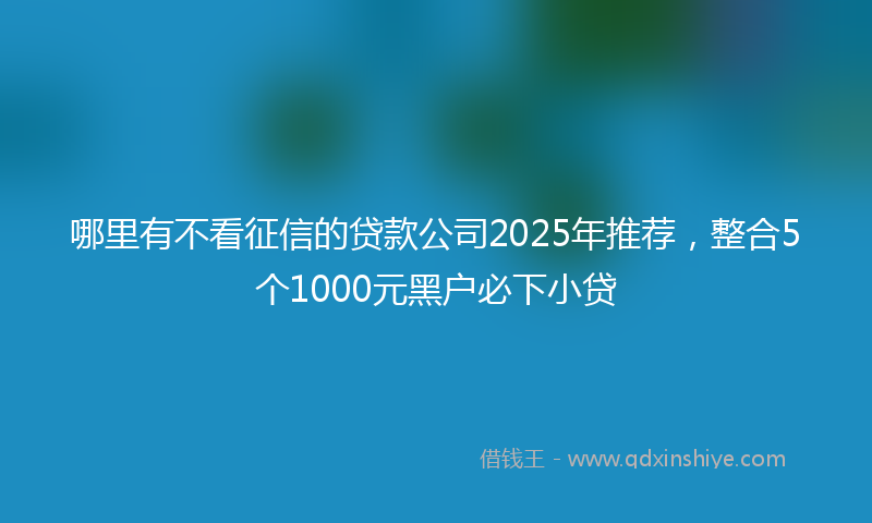 哪里有不看征信的贷款公司2025年推荐，整合5个1000元黑户必下小贷