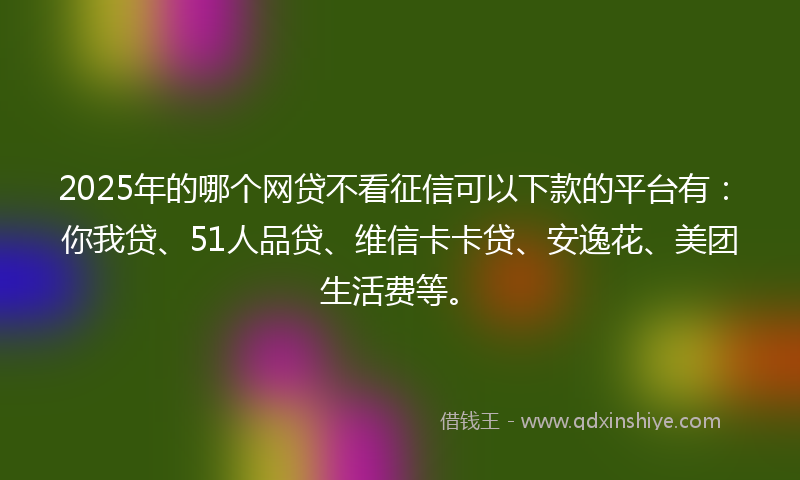 2025年的哪个网贷不看征信可以下款的平台有：你我贷、51人品贷、维信卡卡贷、安逸花、美团生活费等。