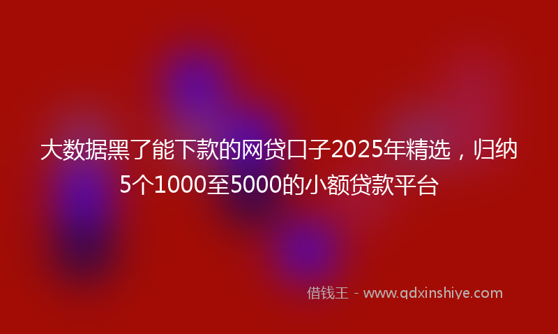 大数据黑了能下款的网贷口子2025年精选，归纳5个1000至5000的小额贷款平台