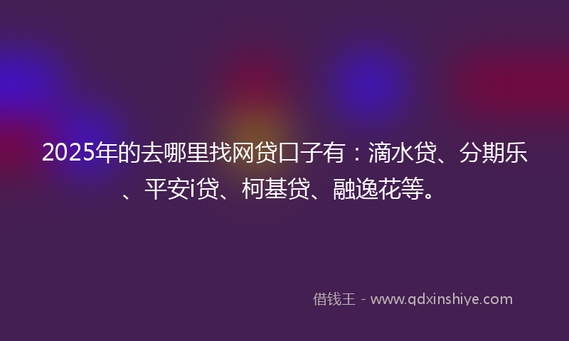 2025年的去哪里找网贷口子有：滴水贷、分期乐、平安i贷、柯基贷、融逸花等。