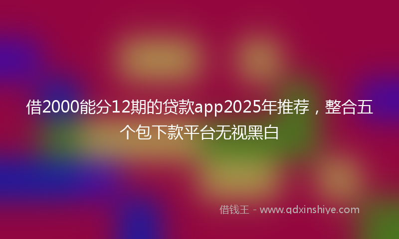 借2000能分12期的贷款app2025年推荐，整合五个包下款平台无视黑白