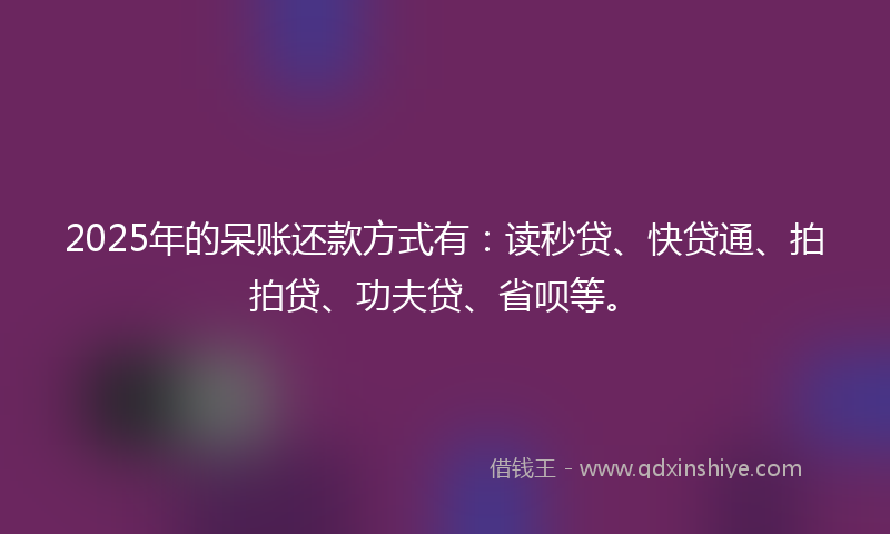 2025年的呆账还款方式有：读秒贷、快贷通、拍拍贷、功夫贷、省呗等。