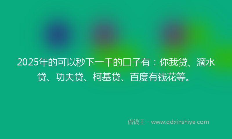 2025年的可以秒下一千的口子有：你我贷、滴水贷、功夫贷、柯基贷、百度有钱花等。