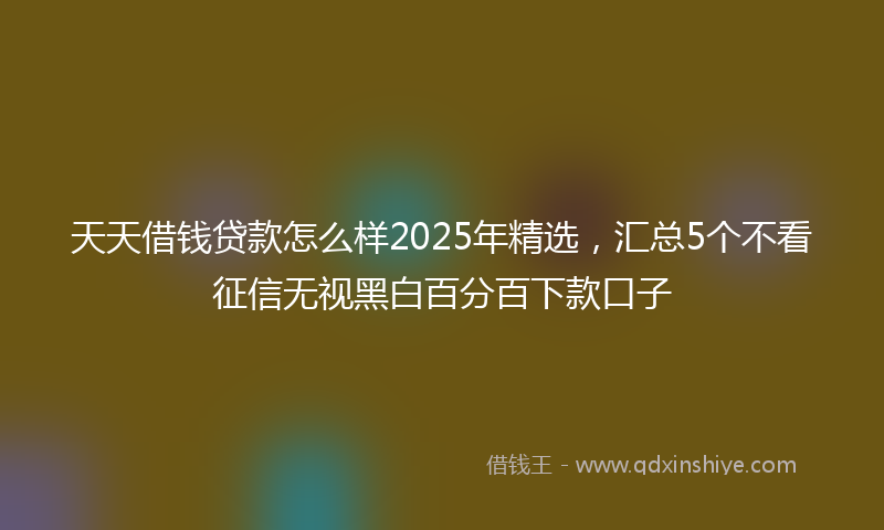 天天借钱贷款怎么样2025年精选，汇总5个不看征信无视黑白百分百下款口子