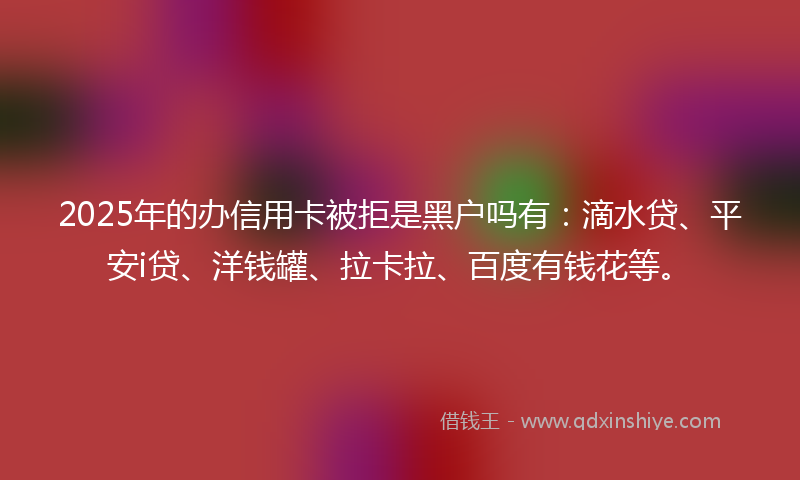 2025年的办信用卡被拒是黑户吗有：滴水贷、平安i贷、洋钱罐、拉卡拉、百度有钱花等。