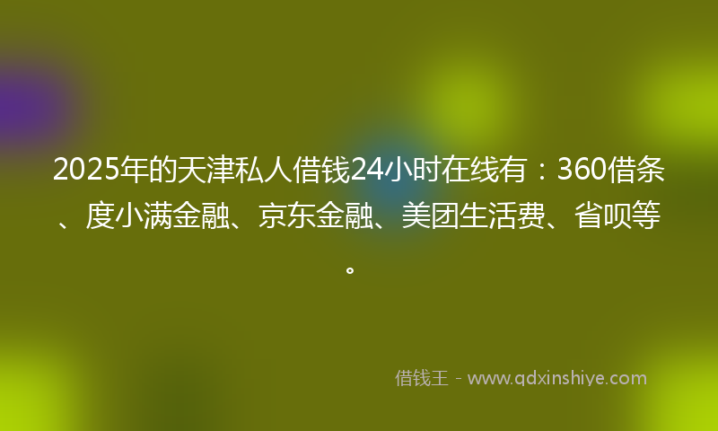 2025年的天津私人借钱24小时在线有：360借条、度小满金融、京东金融、美团生活费、省呗等。