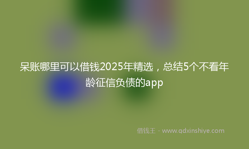 呆账哪里可以借钱2025年精选，总结5个不看年龄征信负债的app