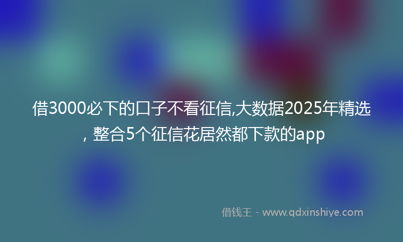 借3000必下的口子不看征信,大数据2025年精选，整合5个征信花居然都下款的app