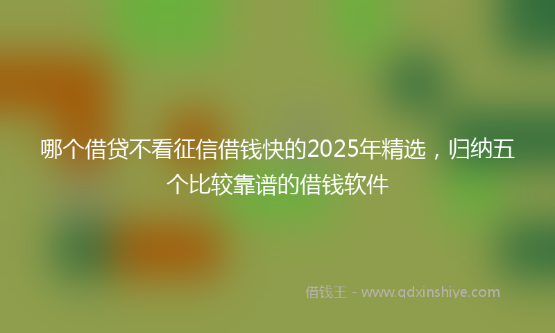 哪个借贷不看征信借钱快的2025年精选，归纳五个比较靠谱的借钱软件