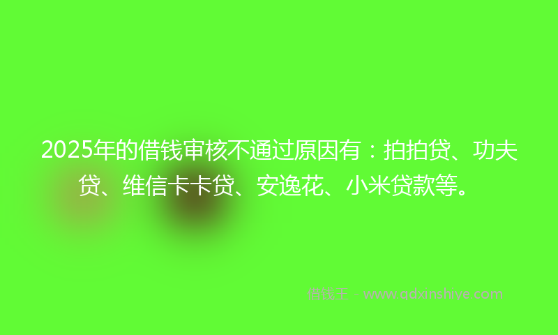 2025年的借钱审核不通过原因有：拍拍贷、功夫贷、维信卡卡贷、安逸花、小米贷款等。