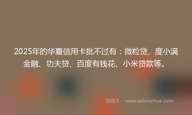 2025年的华夏信用卡批不过有：微粒贷、度小满金融、功夫贷、百度有钱花、小米贷款等。