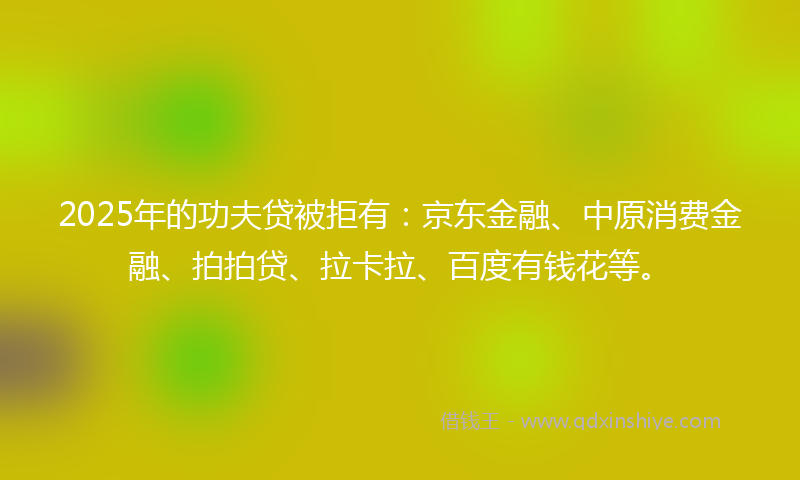 2025年的功夫贷被拒有：京东金融、中原消费金融、拍拍贷、拉卡拉、百度有钱花等。