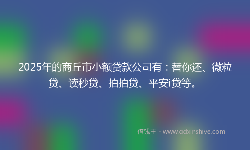 2025年的商丘市小额贷款公司有：替你还、微粒贷、读秒贷、拍拍贷、平安i贷等。