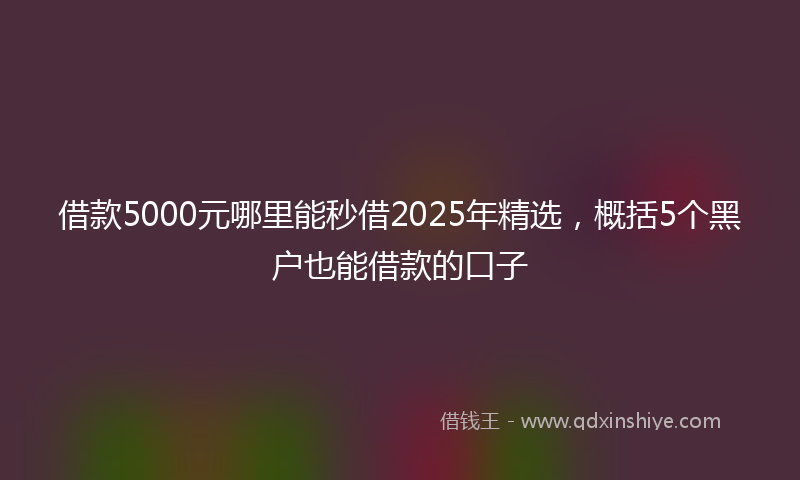 借款5000元哪里能秒借2025年精选，概括5个黑户也能借款的口子