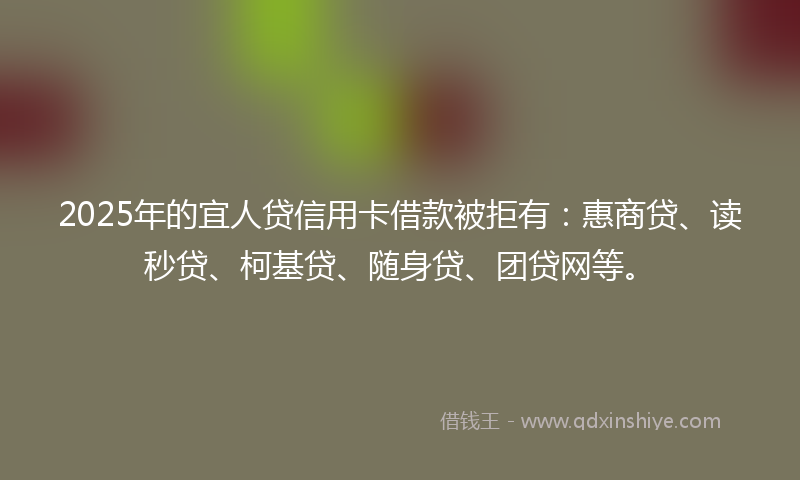 2025年的宜人贷信用卡借款被拒有：惠商贷、读秒贷、柯基贷、随身贷、团贷网等。