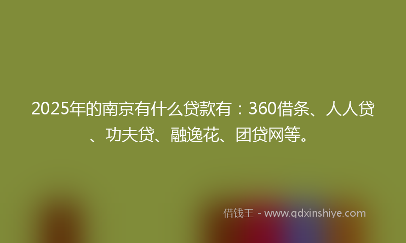 2025年的南京有什么贷款有：360借条、人人贷、功夫贷、融逸花、团贷网等。