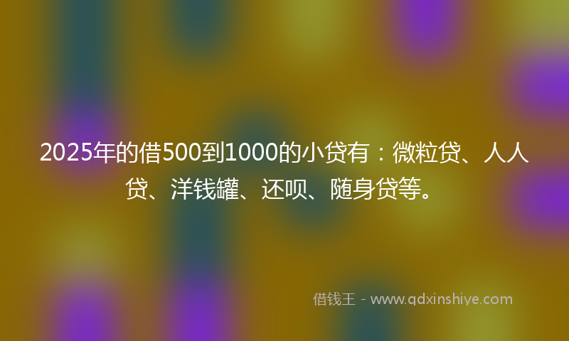 2025年的借500到1000的小贷有：微粒贷、人人贷、洋钱罐、还呗、随身贷等。