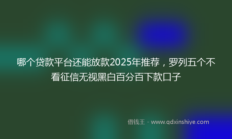 哪个贷款平台还能放款2025年推荐，罗列五个不看征信无视黑白百分百下款口子