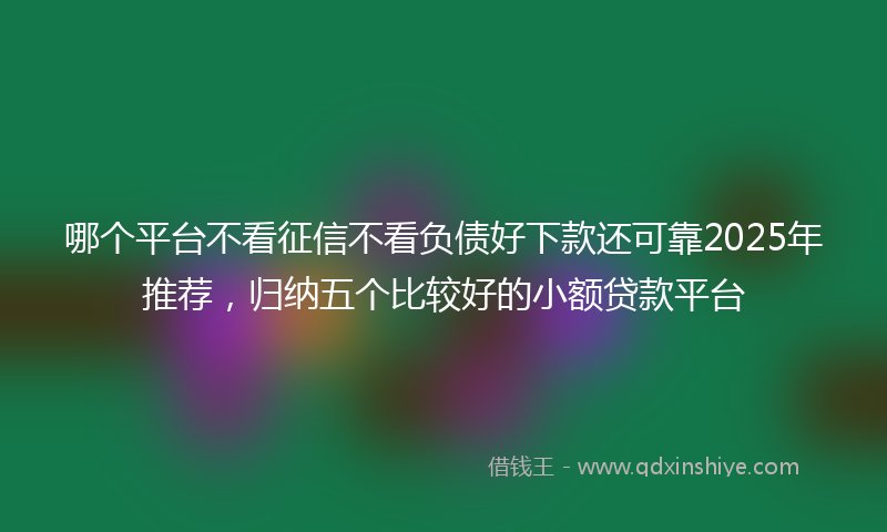 哪个平台不看征信不看负债好下款还可靠2025年推荐，归纳五个比较好的小额贷款平台