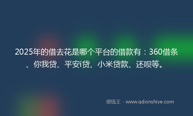 2025年的借去花是哪个平台的借款有：360借条、你我贷、平安i贷、小米贷款、还呗等。