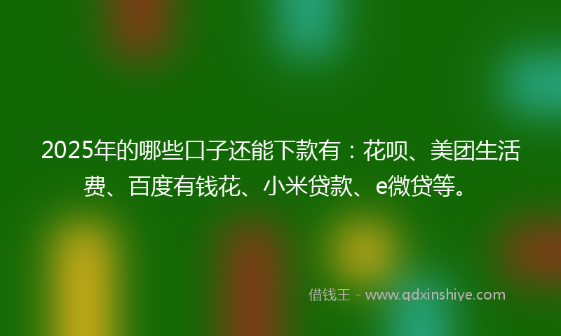 2025年的哪些口子还能下款有：花呗、美团生活费、百度有钱花、小米贷款、e微贷等。