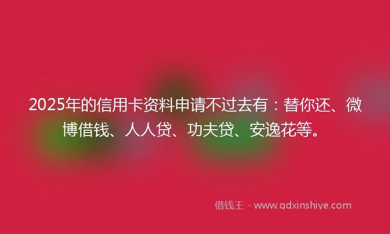 2025年的信用卡资料申请不过去有：替你还、微博借钱、人人贷、功夫贷、安逸花等。