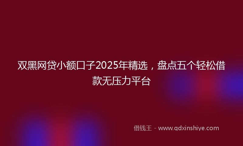 双黑网贷小额口子2025年精选，盘点五个轻松借款无压力平台