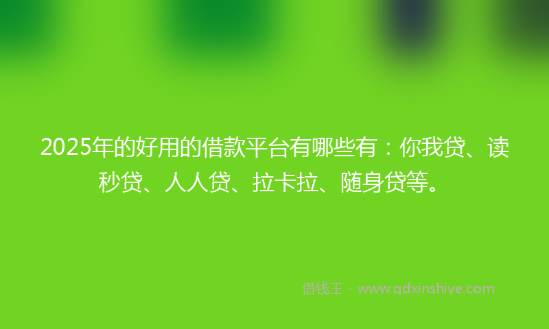 2025年的好用的借款平台有哪些有：你我贷、读秒贷、人人贷、拉卡拉、随身贷等。