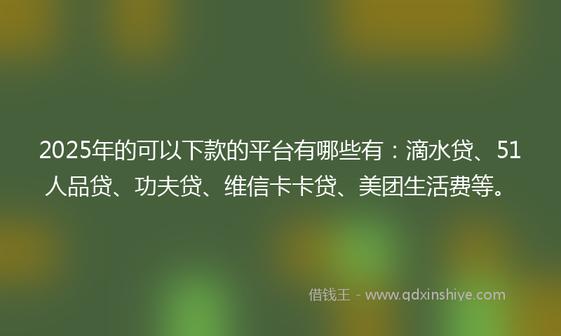 2025年的可以下款的平台有哪些有：滴水贷、51人品贷、功夫贷、维信卡卡贷、美团生活费等。