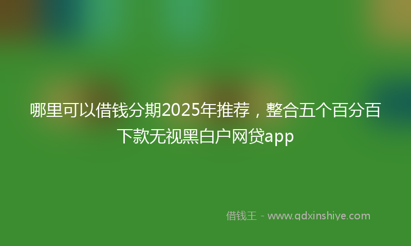 哪里可以借钱分期2025年推荐，整合五个百分百下款无视黑白户网贷app
