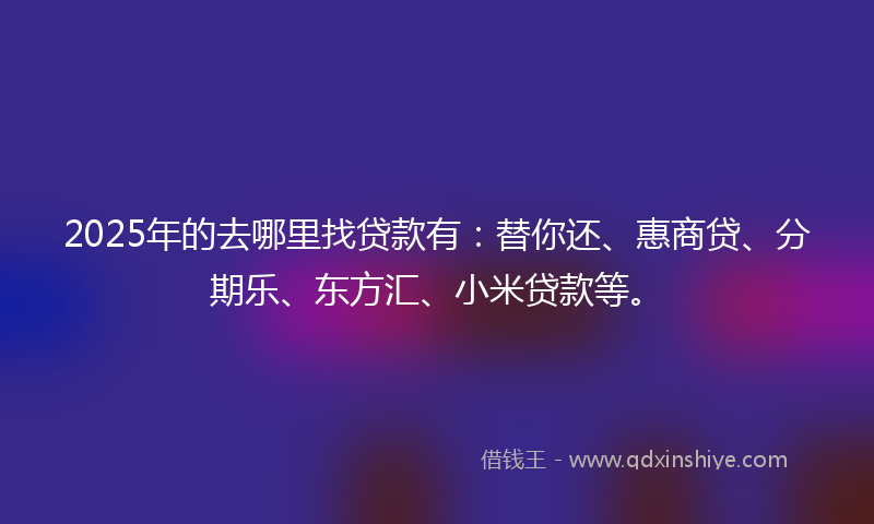 2025年的去哪里找贷款有：替你还、惠商贷、分期乐、东方汇、小米贷款等。