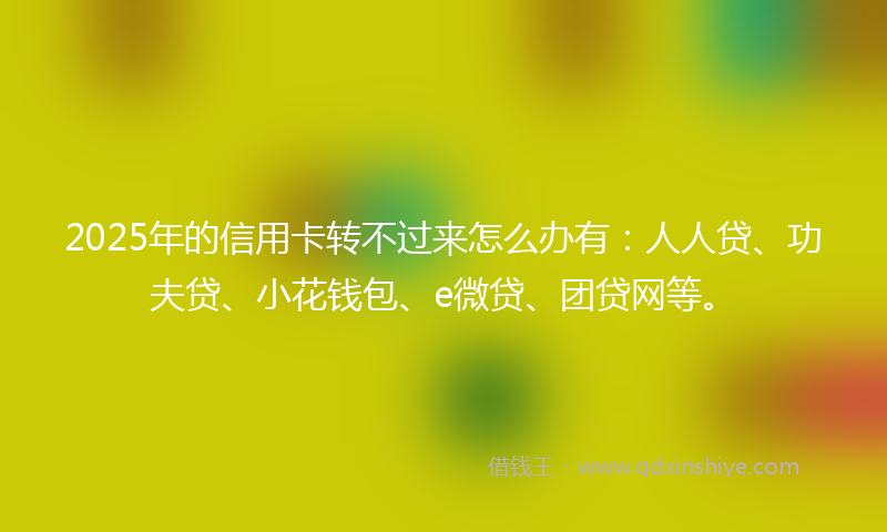2025年的信用卡转不过来怎么办有：人人贷、功夫贷、小花钱包、e微贷、团贷网等。