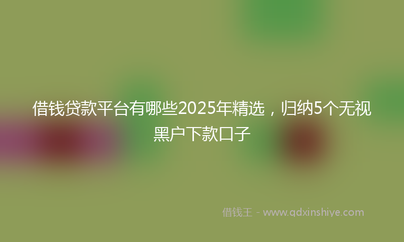 借钱贷款平台有哪些2025年精选，归纳5个无视黑户下款口子