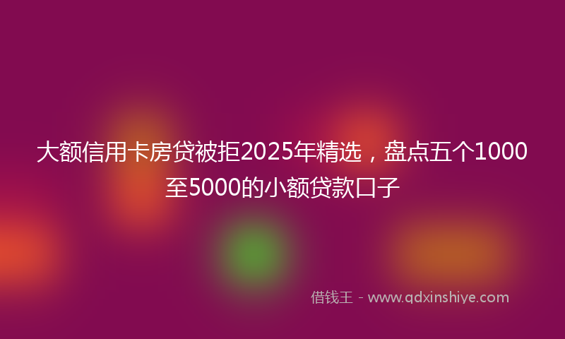 大额信用卡房贷被拒2025年精选，盘点五个1000至5000的小额贷款口子