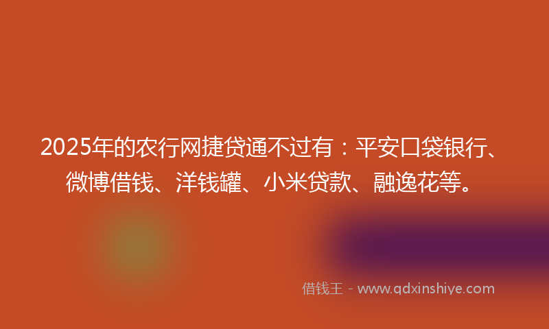 2025年的农行网捷贷通不过有：平安口袋银行、微博借钱、洋钱罐、小米贷款、融逸花等。
