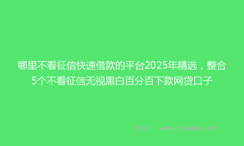 哪里不看征信快速借款的平台2025年精选，整合5个不看征信无视黑白百分百下款网贷口子