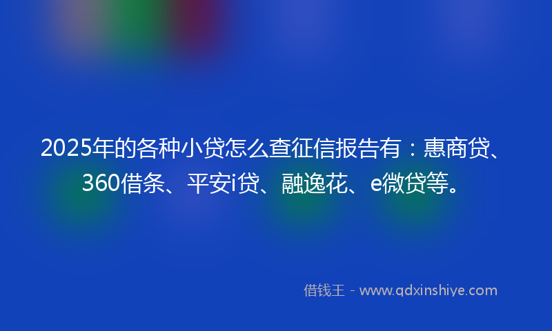 2025年的各种小贷怎么查征信报告有：惠商贷、360借条、平安i贷、融逸花、e微贷等。