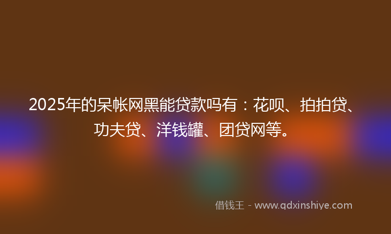 2025年的呆帐网黑能贷款吗有：花呗、拍拍贷、功夫贷、洋钱罐、团贷网等。
