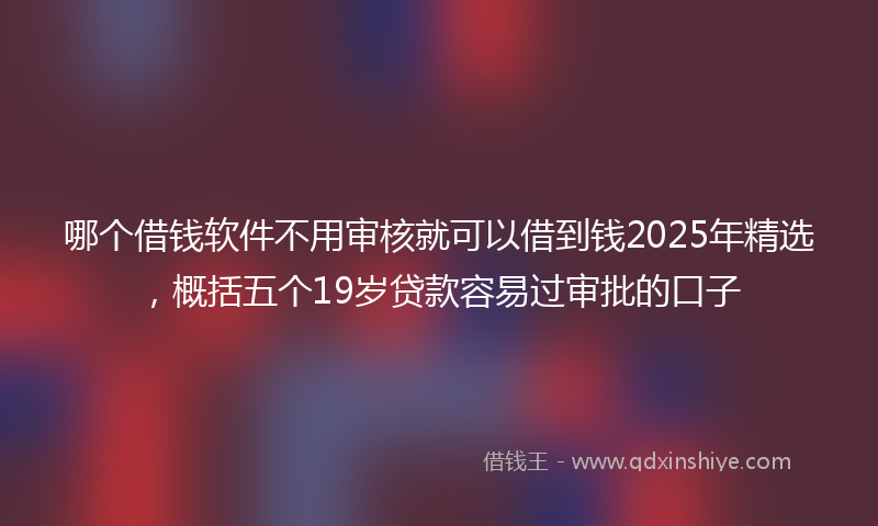 哪个借钱软件不用审核就可以借到钱2025年精选，概括五个19岁贷款容易过审批的口子